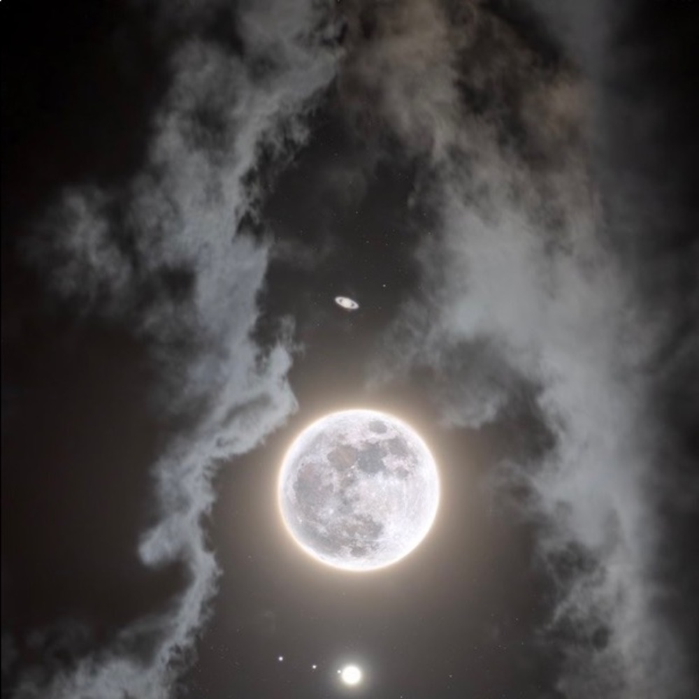 Meet your Posher, Will